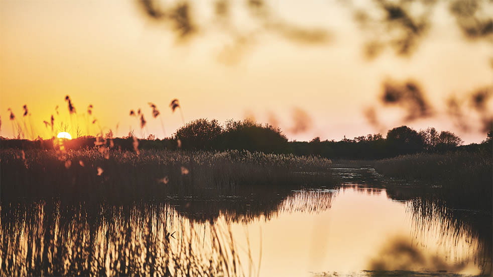 Glastonbury; Marshes